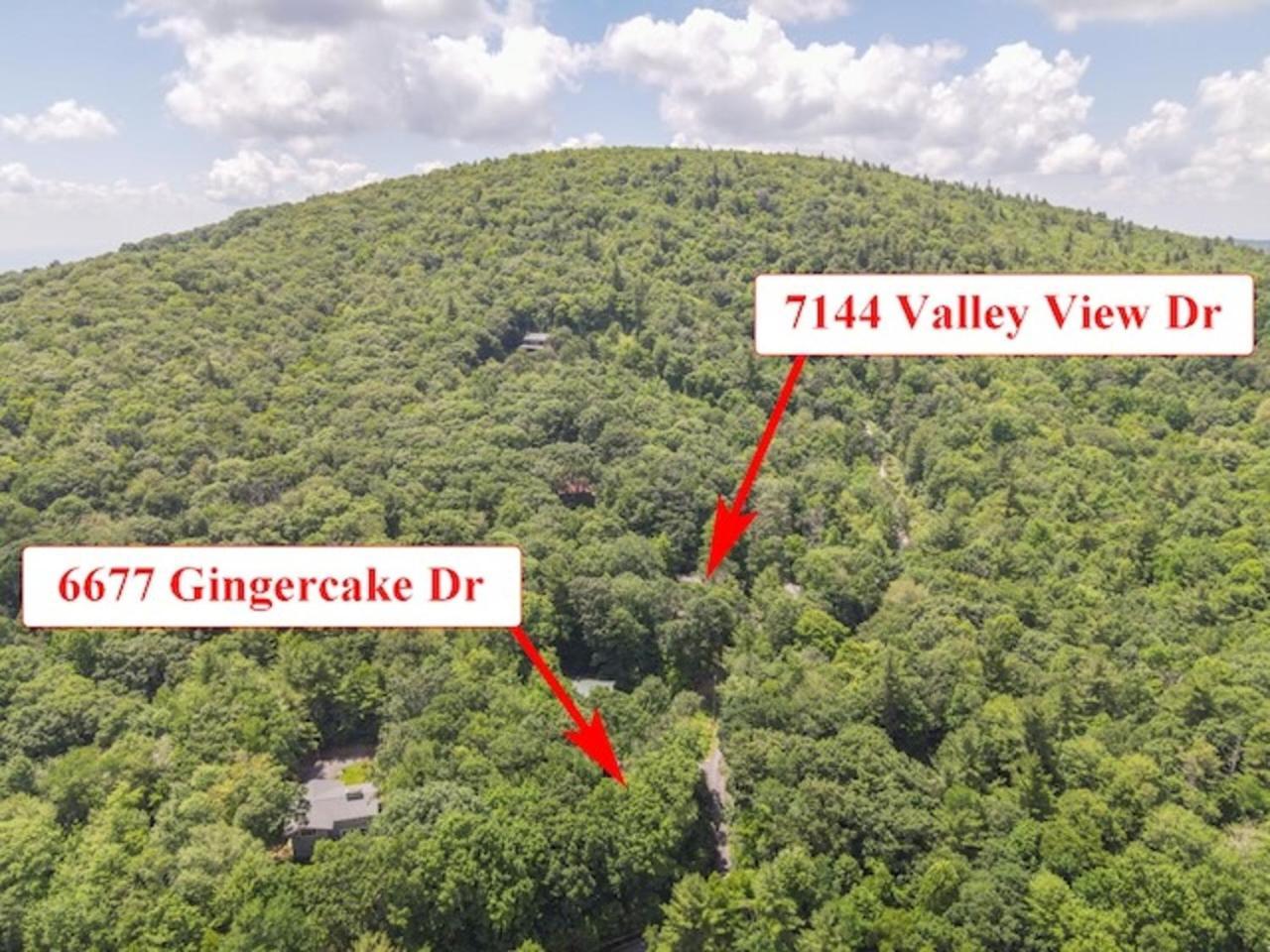 Gingercake Mtn Cottage At Linville Gorge - Wood Burning Fireplace Linville Falls Zewnętrze zdjęcie